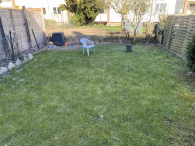 Blick in den Garten