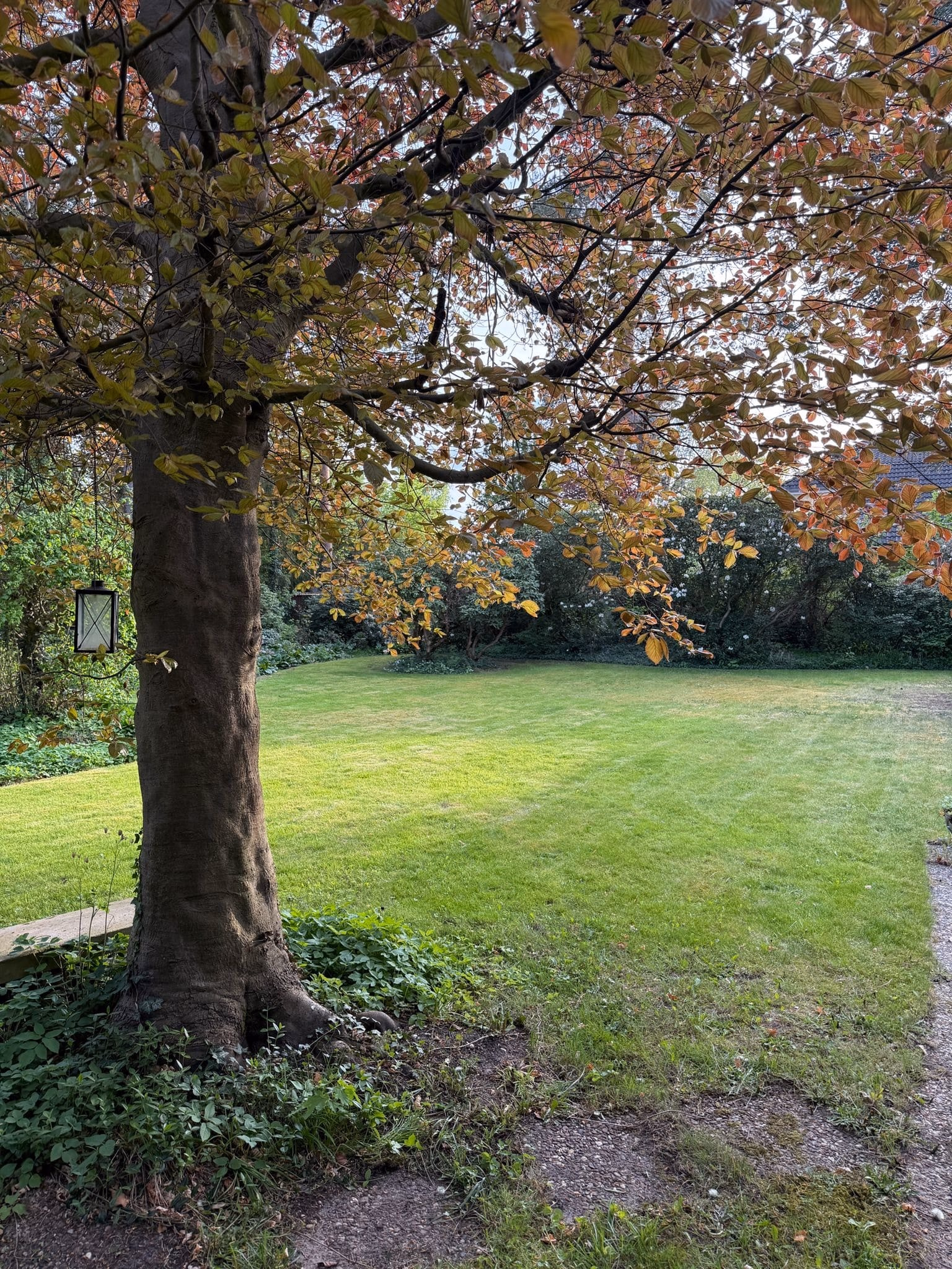 Großburgwedel: Teilbares Grundstück mit Altbestand für Ihren Wohntraum – EFH, RH, DHH, MFH, 30938 Burgwedel, Wohngrundstück