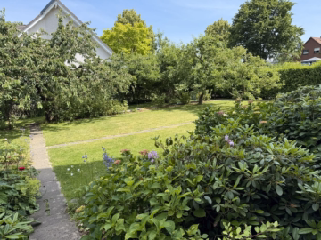 Garten - Sorsum: 6-Familienhaus mit Mietsteigerungspotential