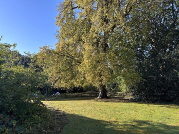 Grundstück - Uetze: Wohnbaugrundstück mit Abrisshaus (Okal-Fertighaus)