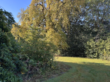 Grundstück - Uetze: Wohnbaugrundstück mit Abrisshaus (Okal-Fertighaus)