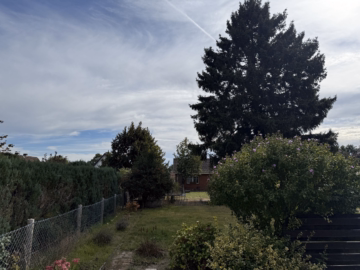 Garten - Eschede: Sanierungsbedürftiges EFH mit großem Grundstück in beliebter Wohnlage