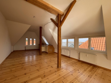 Küche_Wohnzimmer (Zimmer_3) - Charmante Altbauwohnung in Bahnhofsnähe