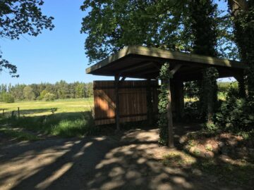 8043560 - Altencelle: Natur pur - Ihr neues Zuhause in idyllischer Lage