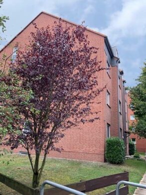 Top modernisierte Eigentumswohnung in der Burgdorfer Weststadt, 31303 Burgdorf, Dachgeschosswohnung