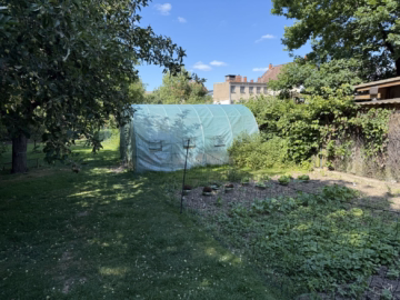 20250619_143114292_iOS - Sarstedt: Ca. 1.321 m² Hoffläche mit 15 Garagen und zwei Gärten