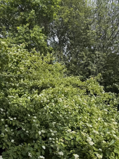 Sicht nach draußen