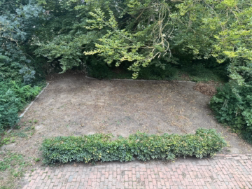 Vorgarten - Sibbesse-Adenstedt: Ehemaliges Forsthaus mit Nebengelass und großem Grundstück