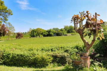 Blick von der Terrasse - Neustadt: Wenn die Lage entscheidet!