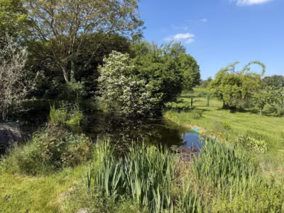 Mit Gartenteich